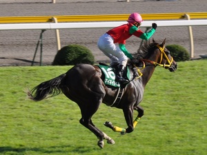 松岡正海がガッツポーズ