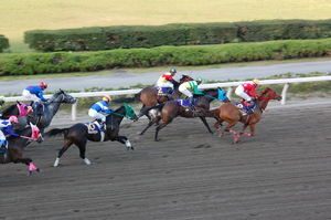 正面スタンド前