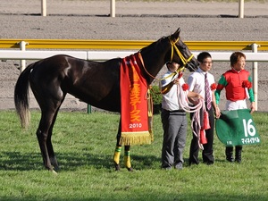 マイネイサベル口取り