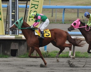 ジョウネツベリー