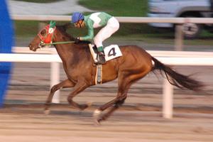 マックスビート