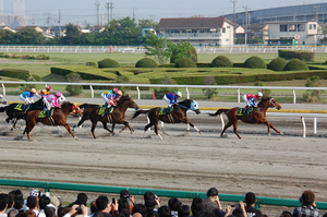 １周目スタンド前