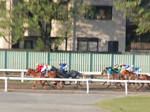 ジョーイロンデルがスパート