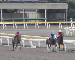 直線でフリオーソが先頭に