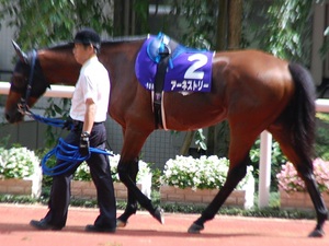 アーネストリー