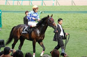 ブレイクナイン