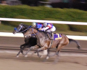 シーズザゴールドが並びかける