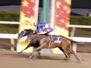 ゴール前は大接戦