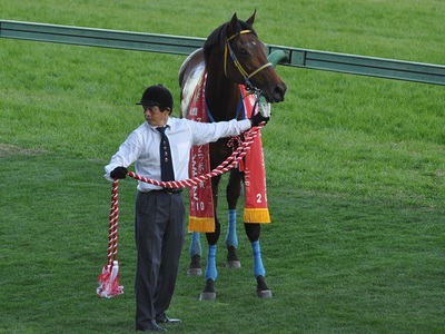 優勝馬コスモへレノス