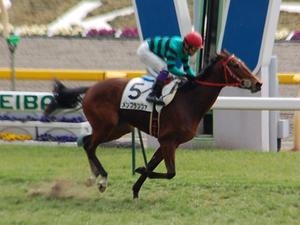 メンブランツァ