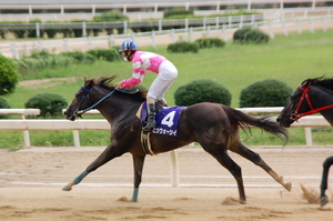 ヒシウォーシィが先頭でゴール