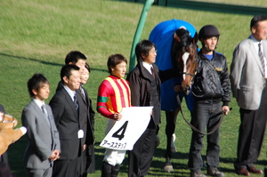 アースステップ