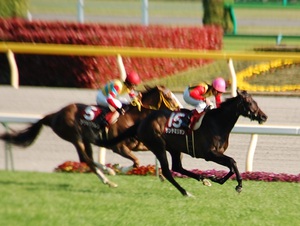 サンテミリオンが抜け出す