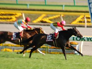 サンテミリオンが先頭でゴール