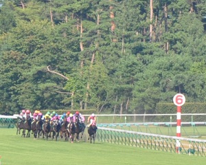 ４コーナーから直線