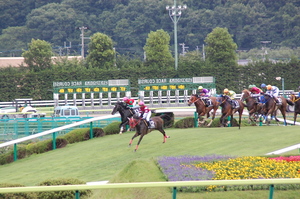 福島ジャンプＳ