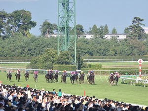 横一線の大接戦