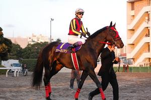 ヴァーミリアン