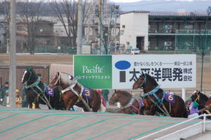 各馬の馬体が大きくなります