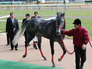 ファビラスボーイ