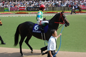 アイアンルック