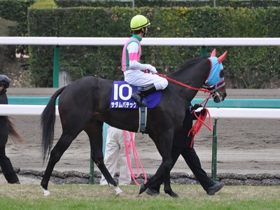 サダムパテック