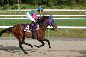 マヨノエンゼル