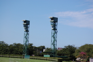 ３１日（日）の新潟