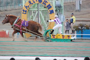 １０着イケダガッツ