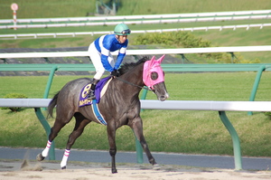 シルバーカテリーナ