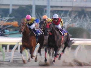 直線では２頭が叩き合い