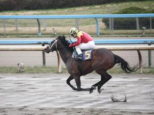 ビッグドンが先頭でゴール