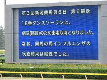 ダンスソーランは陰性