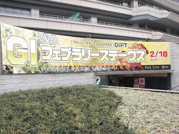 フェブラリーＳ横断幕