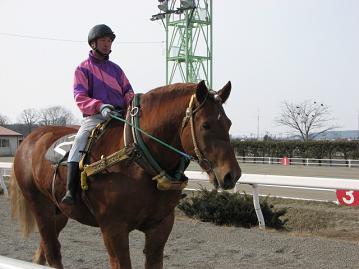 マルニシュウカン