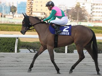 マルノマンハッタン