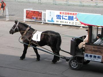 馬車を引くリッキー