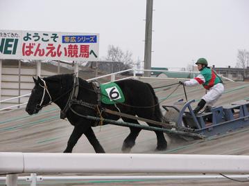 リッキー、第２障害クリア