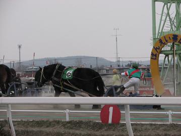 リッキー、最後のゴールイン