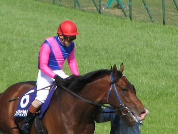 引き上げてきたメイショウサムソン