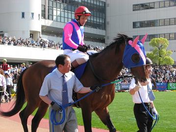 パドックでのメイショウサムソン