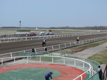 門別競馬場は広いです
