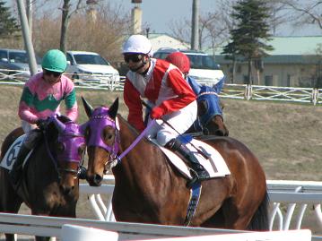 ゼッタイヒルマン