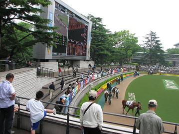 東京２Ｒ時のパドック1
