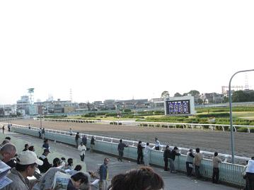 「はくぼ」開催中の浦和競馬場です