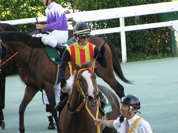 サンバレンティン