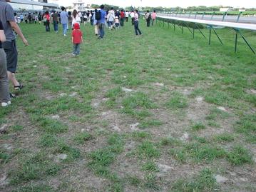 内ラチ沿いは荒れていました