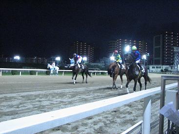 ナイター競馬