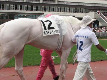 ホワイトベッセルの厩務員さん