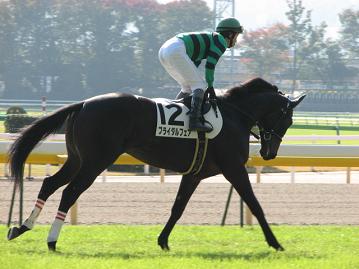 ブライダルフェア